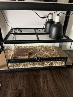 (Category: ) located in . Submitted by nurinuyien99 (Listing ID 1452354501, Image 1). Description: .