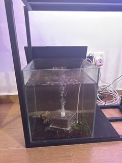 (Category: ) located in . Submitted by matthewchew (Listing ID 1452451324, Image 1). Description: .