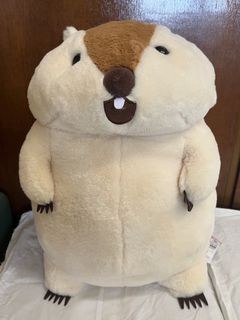 （分類：）位於 。 由 coffee_dress_hk 提交（商品編號 1452391511，圖片 1）。簡介： 。