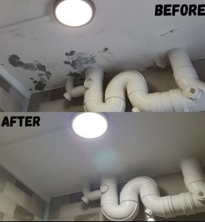 50% Offer On Anti Mould Treatment 自訂分類第一件商品