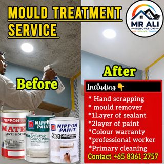 Mould Removal Treatment| Bathroom Ceiling Mould Removal|Kitchen Ceiling Mould Removal| Black Mould Removal Nippon Anti - Mould Paint  Collection item 1