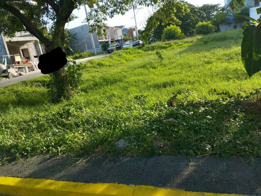 VISTA VERDE SOUTH (Category: Lot) located in Bacoor. Submitted by fastfire-c1d94b (Listing ID 1452435695, Image 2). Description: LOT ONLY CASH ONLY.