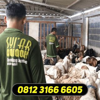 (Kategori: ) berada di . Dikirim oleh paketcateringaqiqahsby (ID iklan 1452394932, Gambar 1). Deskripsi: .
