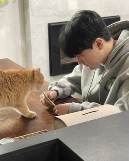 (Category: ) located in . Submitted by ilovecats77 (Listing ID 1452450294, Image 1). Description: .