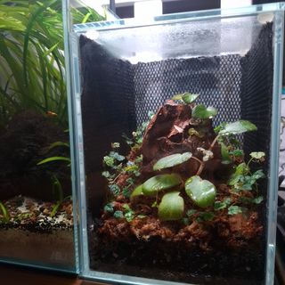 (Category: ) located in . Submitted by v3gqt (Listing ID 1452544744, Image 1). Description: .