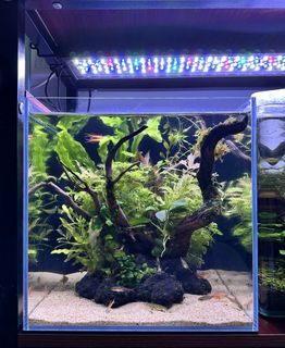 (Category: ) located in . Submitted by adri_an (Listing ID 1452527153, Image 1). Description: .