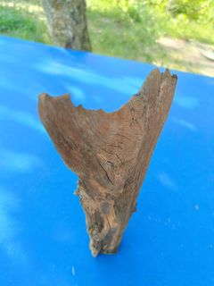 (Category: ) located in . Submitted by centellaasiatica03 (Listing ID 1452646033, Image 1). Description: .