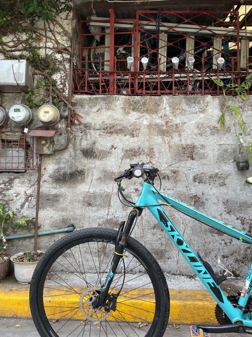 Bike (Category: Bicycles) located in Manila. Submitted by daniel7584 (Listing ID 1452697733, Image 3). Description: MTB SKYLINE RUSH FS •Alloy Frame •Shimano Tourney FD/RD (6s) •Hydraulic brakes (Front/Back) •Truvativ Handle Bar (Alloy) •Roadnado Stem (Naka negative na for looks) •Kenda Tires (Front/Back 27.5) Issue: Dents and rust.