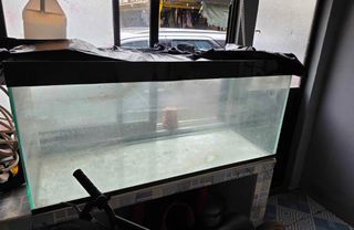(Category: ) located in . Submitted by cha04254 (Listing ID 1452525628, Image 1). Description: .