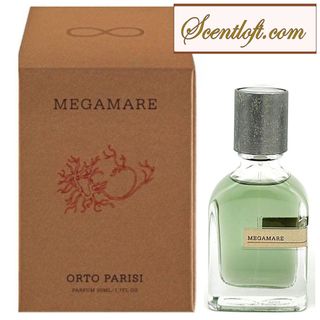 Men's Perfumes & Accessories For Men 收藏品 2