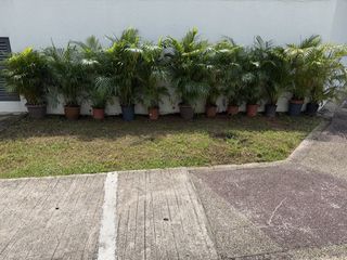 (Category: ) located in . Submitted by anancoco (Listing ID 1452180137, Image 1). Description: .