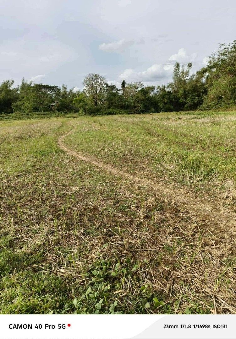 Pangasinan lot (Category: Lot) located in Manila. Submitted by mrm_online_shop17 (Listing ID 1452608724, Image 3). Description: Malapit sa beach 😍 10mins away only Dasol pangasinan📌 100 sqm minimum lot size Price per sqm starts 1,000 per sqm cash payments PRICES Kapag po installment 1,300per sqm back lot 1,500 per sqm middle lot 2,300 per sqm front lot PRICES Kapag po cash payment Back lot 1,000per sqm Middle lot 1,300 per sqm Front lot 2,000 p