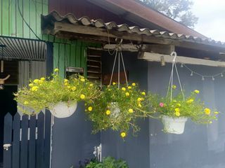 (Category: ) located in . Submitted by aneppo088 (Listing ID 1452571633, Image 1). Description: .