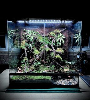(Category: ) located in . Submitted by nativeforest9 (Listing ID 1452601439, Image 1). Description: .