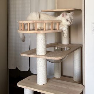 (Category: ) located in . Submitted by hngggg (Listing ID 1447391330, Image 1). Description: .