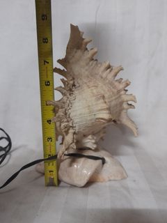 (Category: ) located in . Submitted by antique_malaya (Listing ID 1447374682, Image 1). Description: .