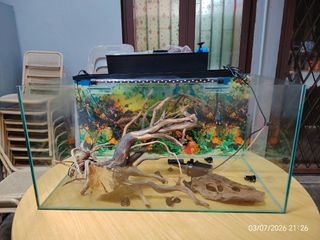 (Category: ) located in . Submitted by potato930741349 (Listing ID 1447430237, Image 1). Description: .