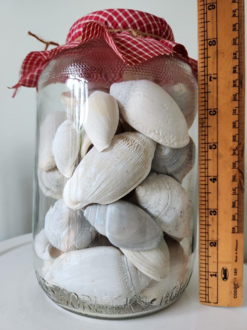Glass Jar Filled with Seashells (Category: Vases & Decorative Bowls) located in Kuala Lumpur. Submitted by gentlepenguin.6b8aad (Listing ID 1447363938, Image 2). Description: - Decorative glass jar filled with assorted seashells. - Topped with charming red gingham fabric and twine. - Stands approximately 8 inches tall. - Ideal for coastal, beach-themed, or natural decor. - Adds a touch of nature to any room..