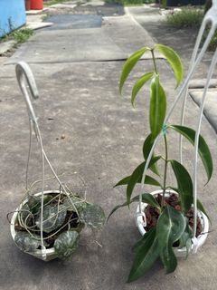 (Category: ) located in . Submitted by cyc78 (Listing ID 1447306557, Image 1). Description: .