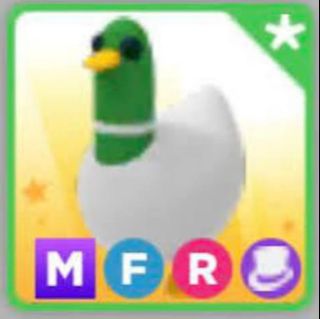(Category: ) located in . Submitted by kevls.is.awsome (Listing ID 1447350745, Image 1). Description: .