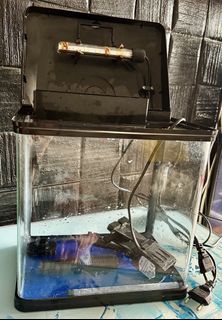 (Category: ) located in . Submitted by lee_ra (Listing ID 1447305658, Image 1). Description: .