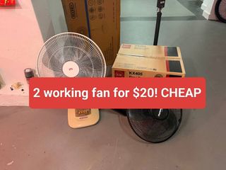 (Category: ) located in . Submitted by alwayscheapandgood (Listing ID 1452816550, Image 1). Description: .