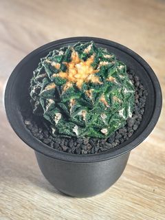 （分類：）位於 。 由 hujang 提交（商品編號 1452857588，圖片 1）。簡介： 。
