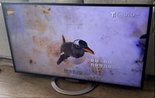 （分類：）位於 。 由 viviancha97633 提交（商品編號 1452835580，圖片 1）。簡介： 。