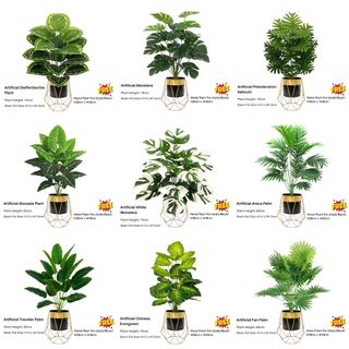 (Category: ) located in . Submitted by evergreen_gardening (Listing ID 1452778538, Image 1). Description: .