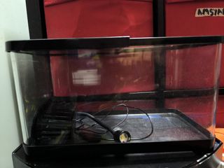 (Category: ) located in . Submitted by mzfz23 (Listing ID 1452840056, Image 1). Description: .