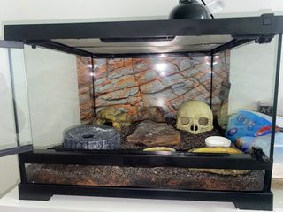 (Category: ) located in . Submitted by st4rcatz (Listing ID 1452729210, Image 1). Description: .