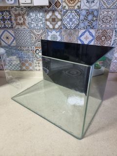 (Category: ) located in . Submitted by petstyle888 (Listing ID 1452805036, Image 1). Description: .