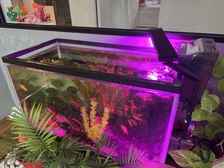 (Category: ) located in . Submitted by avyzzz (Listing ID 1452831149, Image 1). Description: .