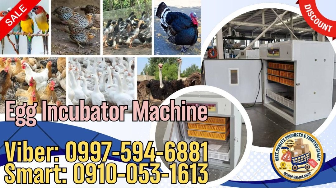 High Quality Poultry Egg Incubator Machine 264pcs Eggs (Category: Industrial Equipment) located in Pasig City. Submitted by ayabheldiane-20162 (Listing ID 1452724675, Image 1). Description: 🌏 We Can Deliver Nationwide 👉 AP Cargo, LBC & Lalamove (🛳️Sea /✈️Air Freight) 📍 HURRRYYYY!!! BUY NOW!!! & GET LESS DISCOUNT 📍 WE'RE ON SALE NOW ❗️ Price: 40,368 🔥 Poultry Egg Incubator Machine 264pcs Eggs ✅💯 Guaranteed Seller ✅ High Quality Products ✅💯