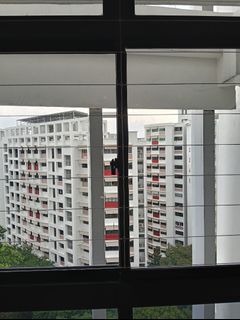 (Category: ) located in . Submitted by endosales4 (Listing ID 1452830155, Image 1). Description: .