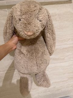 (Category: ) located in . Submitted by Plant_Oppa (Listing ID 1452709384, Image 1). Description: .