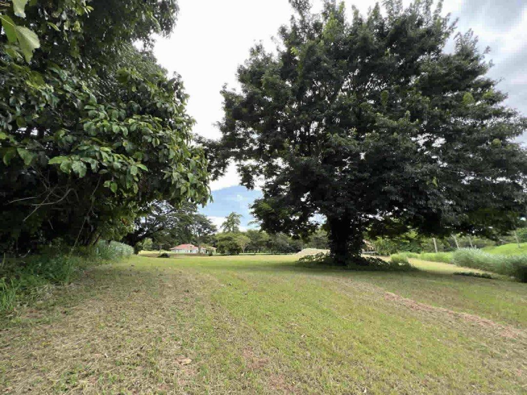 Montecito | Ayala Land Premier | 1446sqm (Category: Lot) located in Pasig City. Submitted by maraholgado (Listing ID 1452772166, Image 3). Description: FOR SALE | MONTECITO, NUVALI A Rare Estate Lot in One of Nuvali’s Most Prestigious Communities Presenting an exceptional single-loaded residential lot in the exclusive Montecito, Nuvali. ✨ 1,446 sqm ✨ Single-loaded for enhanced privacy and a more spacious setting ✨ Prime location near the Montecit