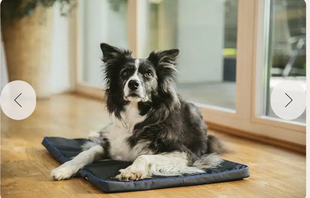 PEMF pad for dogs/cats (Category: Health & Grooming) located in Mandaluyong City. Submitted by secondipity111 (Listing ID 1452778727, Image 2). Description: Petspemf Pad Full-Body PEMF Therapy Mat for Pets Small 13in x 17.5in x 0.8in Supports mobility, recovery, and relaxation for your pet’s overall wellbeing. Benefits of PEMF: Improved joint mobility and flexibility Healthier circulation and oxygen delivery Reduced stiffness and discomfort in ag
