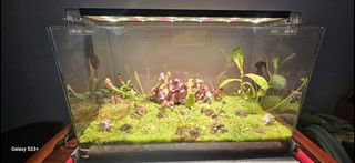 (Category: ) located in . Submitted by everythingalsowan (Listing ID 1452753011, Image 1). Description: .