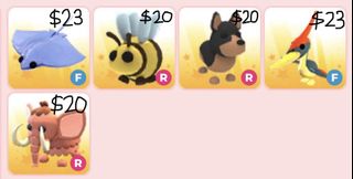 （分類：）位於 。 由 adoptmestore01 提交（商品編號 1452861799，圖片 1）。簡介： 。
