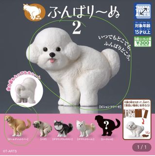 （分類：）位於 。 由 secret_1214 提交（商品編號 1452833463，圖片 1）。簡介： 。