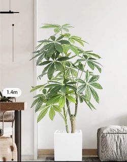 (Category: ) located in . Submitted by crazyl2h (Listing ID 1452714161, Image 1). Description: .