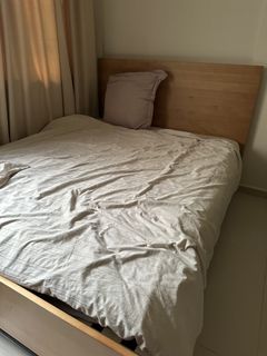 (Category: ) located in . Submitted by kayapie (Listing ID 1452705299, Image 1). Description: .