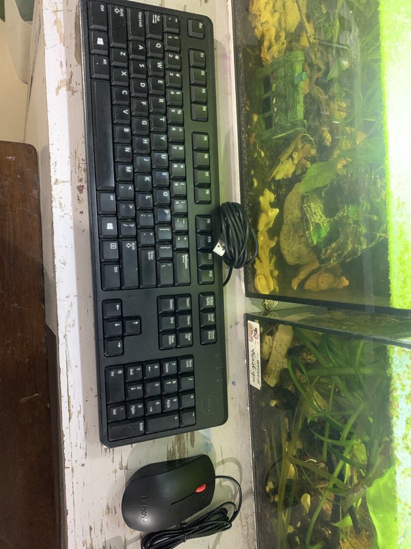 Dell Keyboard and Lenovo Mouse Wired USB Combo (Category: Computer Keyboard) located in San Mateo. Submitted by young_123456789 (Listing ID 1453008313, Image 2). Description: Selling a Dell keyboard and a Lenovo mouse. Both are wired USB. Great for everyday computer use. Tested and working. Selling as a set. Negotiable, and feel free to ask questions!.