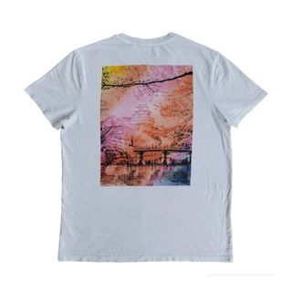 (Category: ) located in . Submitted by dreampop.store (Listing ID 1452887578, Image 1). Description: .