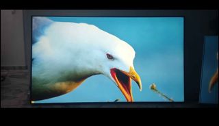(Category: ) located in . Submitted by braveocean.362472 (Listing ID 1452926901, Image 1). Description: .