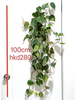 （分類：）位於 。 由 29808 提交（商品編號 1452998754，圖片 1）。簡介： 。