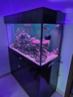 (Category: ) located in . Submitted by graz.clarke (Listing ID 1452994118, Image 1). Description: .