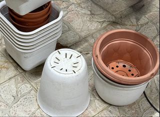 (Category: ) located in . Submitted by greentumb (Listing ID 1452925031, Image 1). Description: .