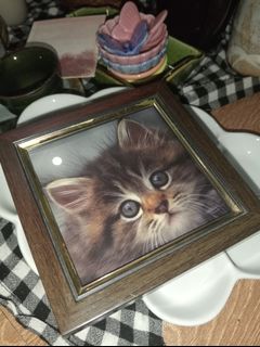 (Category: ) located in . Submitted by gieclutter (Listing ID 1447531016, Image 1). Description: .